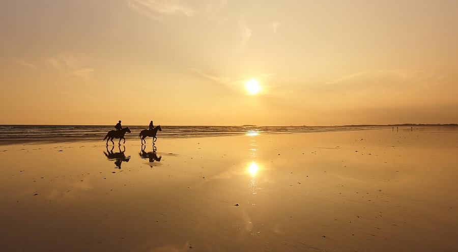 Cheval plage Plouharnel