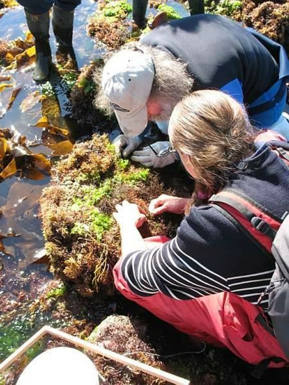 Sortie découverte de l'Estran et pêche à pied