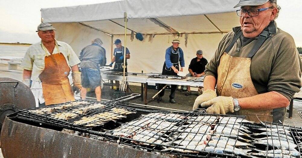 Dégustation de sardines grillées - aout