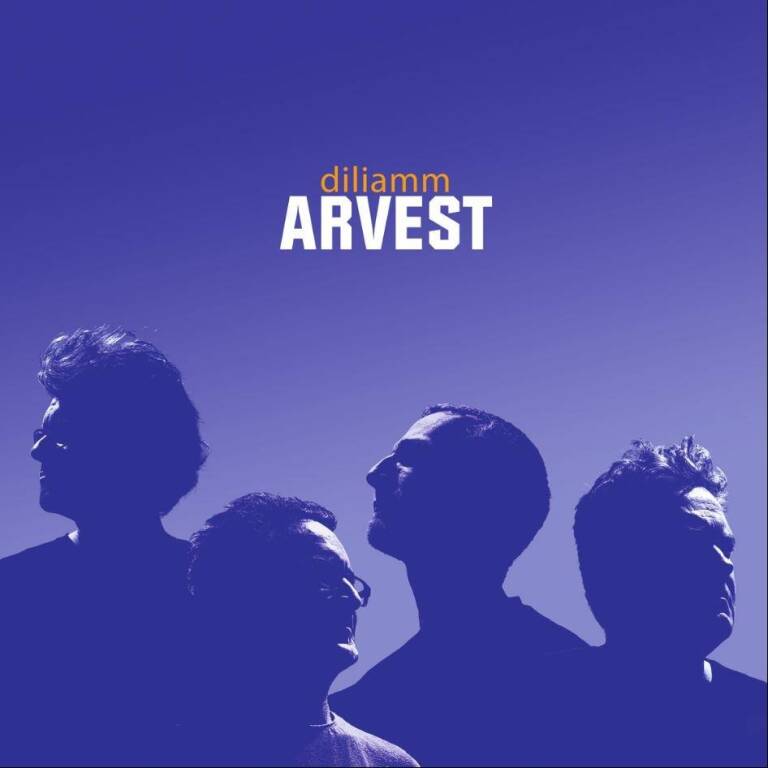 Fest noz, Arvest