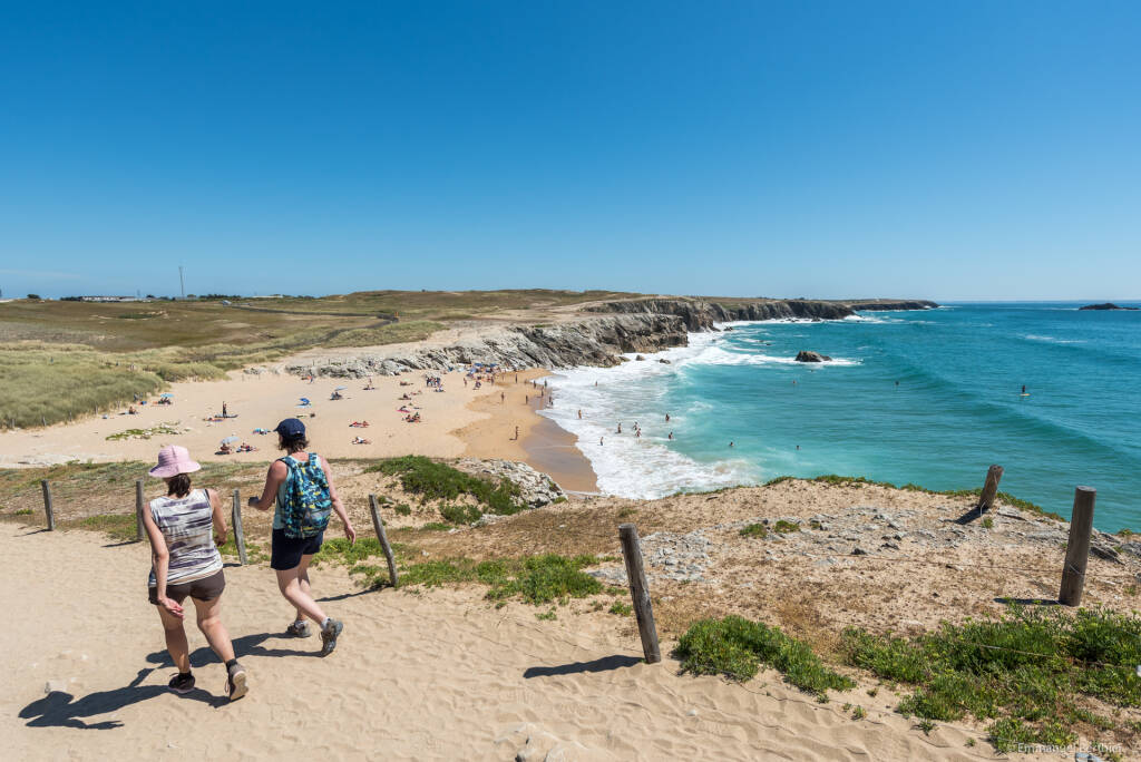 La Côte Sauvage : un paysage et une biodiversité à couper le souffle