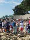 guide-nature-melanie-chouan-trinite-sur-mer-morbihan-bretagne-sud