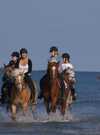 Erdeven Equitation ERDEVEN Morbihan Bretagne Sud Erdeven Equitation ERDEVEN Morbihan Bretagne Sud