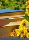 books-1757734_640 books-1757734_640