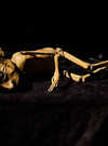 La mort grandiose des marionnettes