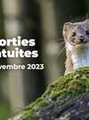 "Morbihan grandeur nature": Autour du pressage de pommes