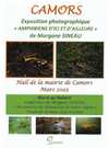 Exposition - Les amphibiens d'ici et d'ailleurs