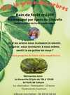 Par la grâce des arbres Par la grâce des arbres