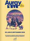 Concours de pétanque