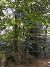 Balade contée au bord du Loch