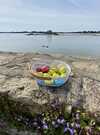 Chasse oeufs