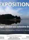 Exposition