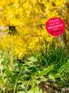Les propriétés cachées des mauvaises herbes !
