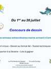Concours dessin
