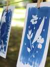 Evasion créative et poétique : à la découverte du cyanotype