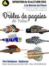 25.06.16 Droles de pagaies