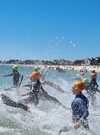 Stage nage eau libre