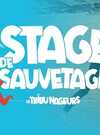Stage_SAUV_banWEB