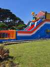 SURFEUR GEANT