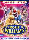 Cirque Williams