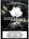 Projection en plein air: La sagesse de nos arbres