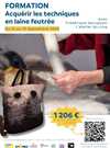 Formation laine feutrée