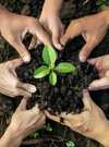 S'initier à la permaculture