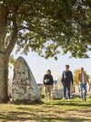 alignements-menhirs-kerzerho-erdeven © Alexandre Lamoureux (2)_792x528