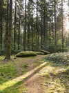 menhirs-foret-camors_1224x816