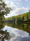 etang-foret-camors_1008x672 etang-foret-camors_1008x672