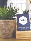 SolaQuiberon1