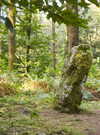 menhir-dresse-foret-camors_1656x1104