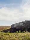 1.jpg_compressed (2)