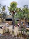 LMD-TERRASSE-ENTREE LMD-TERRASSE-ENTREE