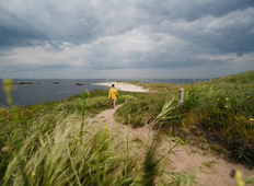 Week-end cocooning en Baie de Quiberon : nature, spa et plaisirs réconfortants