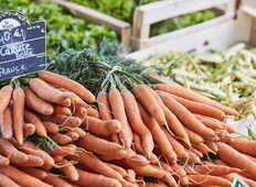 carottes-marche