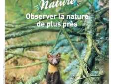 Le Vallon du Reclus