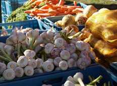 Marché de Locoal Mendon