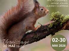 Exposition : "La forêt, murmures du vivant" 