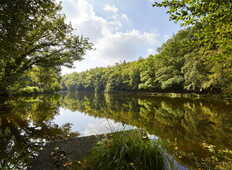 petit-bois-etang-camors_1656x1104