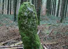 Menhir Men Bihan Camors Morbihan Bretagne-sud