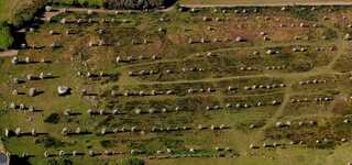 Les menhirs de Carnac