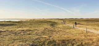 Grand site de France : les dunes sauvages de Gâvres à Quiberon