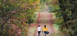 Automne