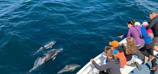 Loisirs nautiques