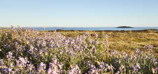 Visites nature