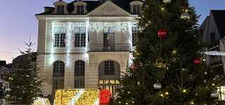 Plongez dans la magie des fêtes de fin d'année