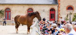 Haras National d'Hennebont