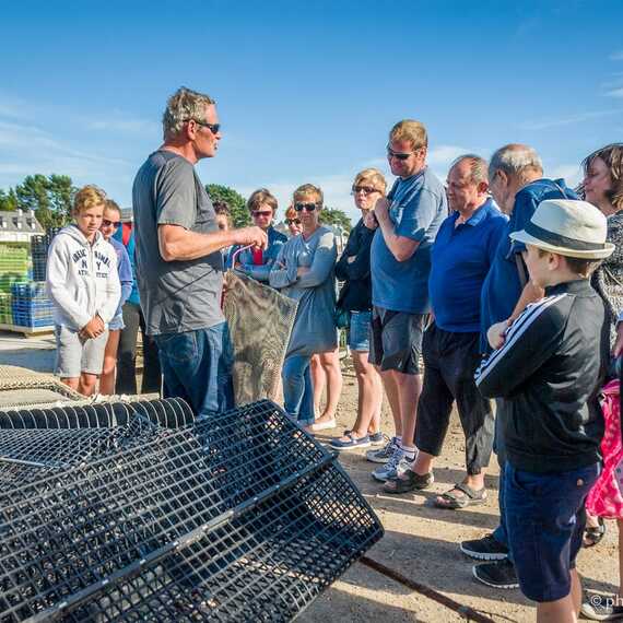 Visite de chantier ostéricole en Baie de Quiberon - Istrenn Passion