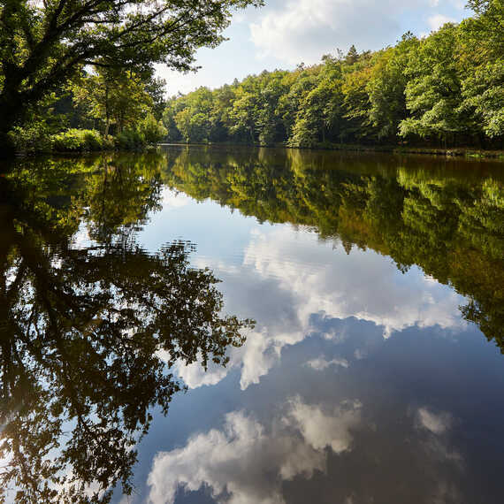 Pêche en étang